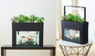 アクアポニックス「アクアスプラウトSV」