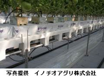 栽培システム「溶液隔離栽培システム」