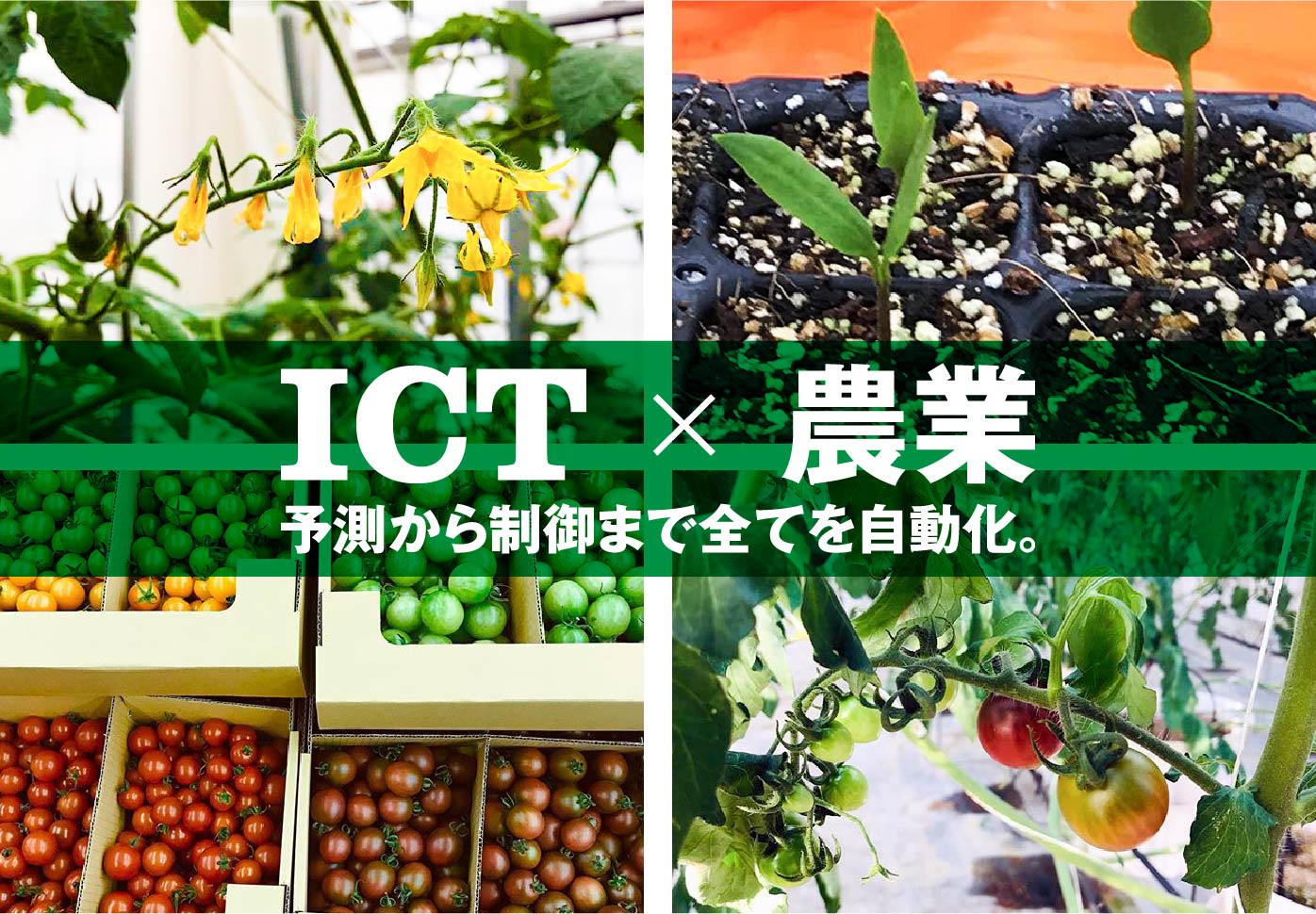 主に、「システムや材料のご提供」と「生産物の買取支援」のサービスを提供いたします。