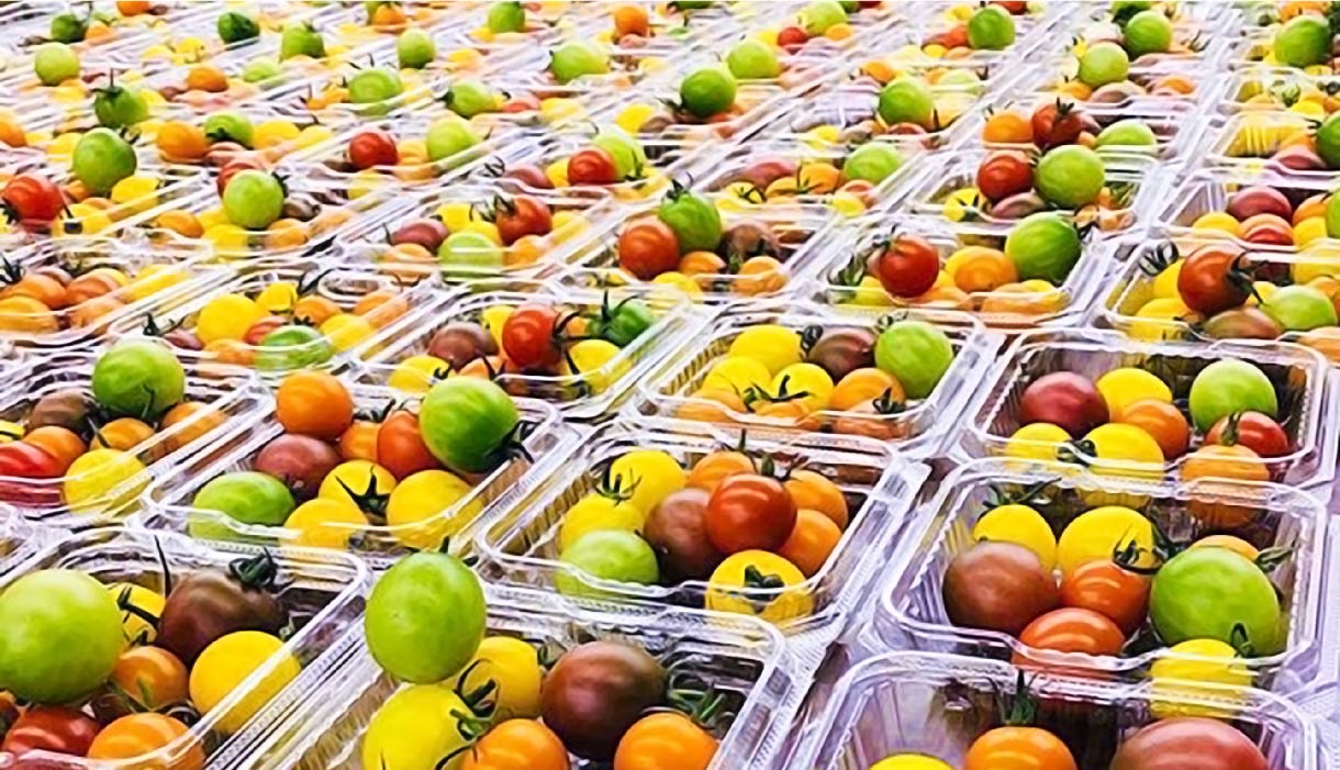 調達から収穫された作物の販売までトータルにサポート