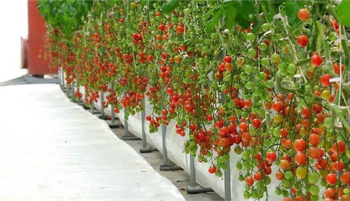 毎週金曜日に施設見学会を実施しています